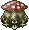 Amanita