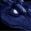 15.png