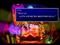 043.png